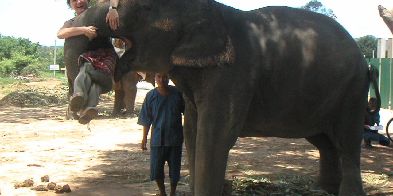 8 Does and Don’ts in Thailand – and how Yoga can help