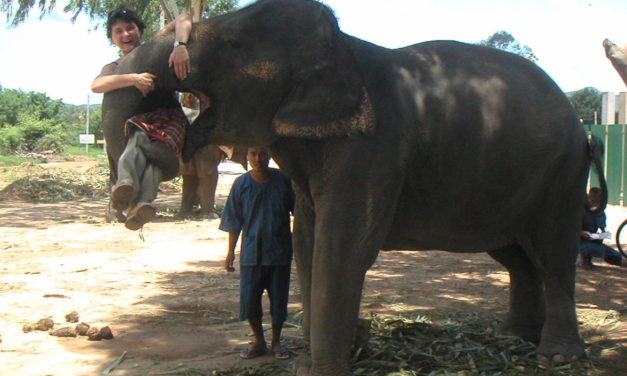 8 Does and Don’ts in Thailand – and how Yoga can help