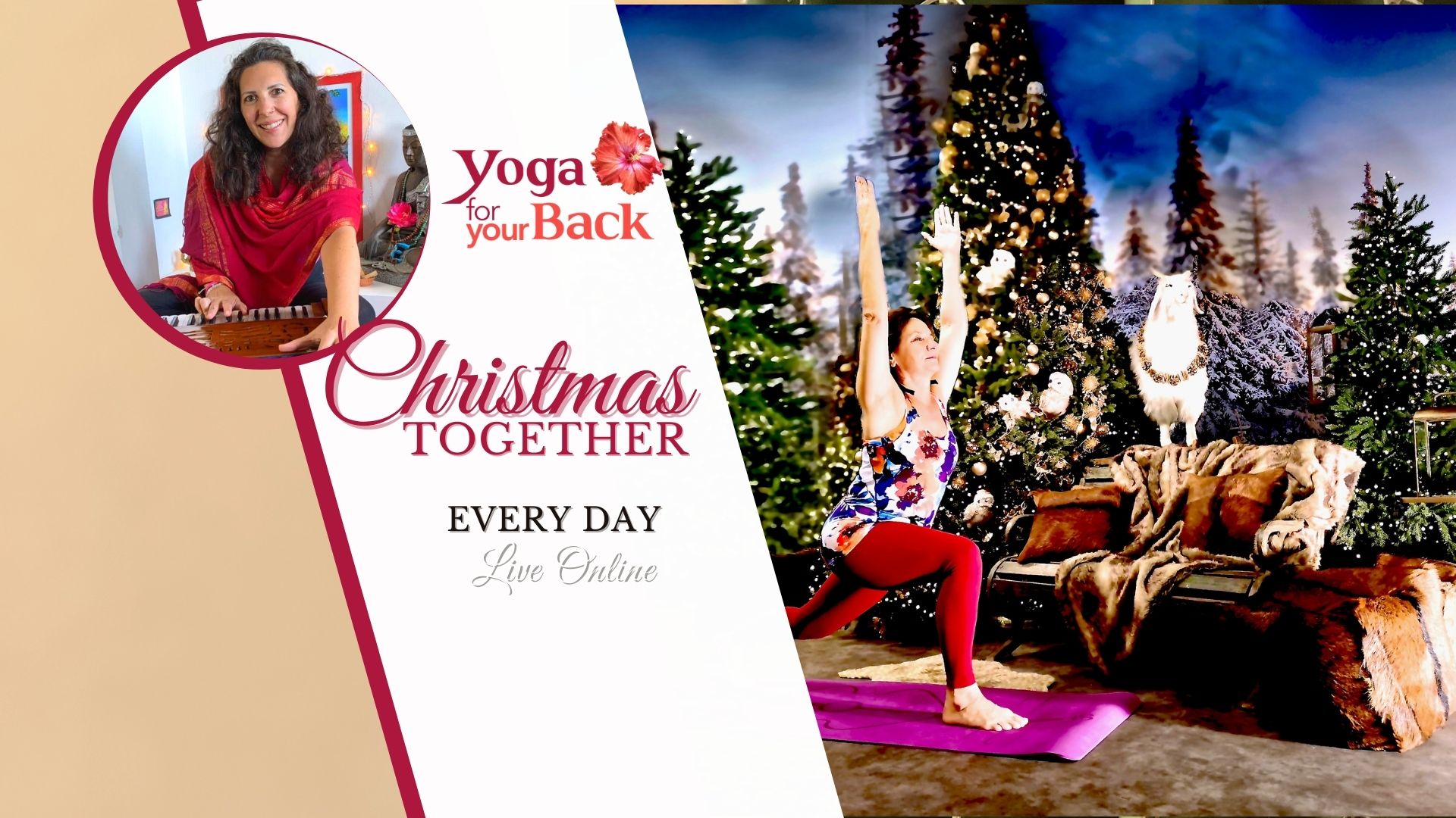 Website Christmas together