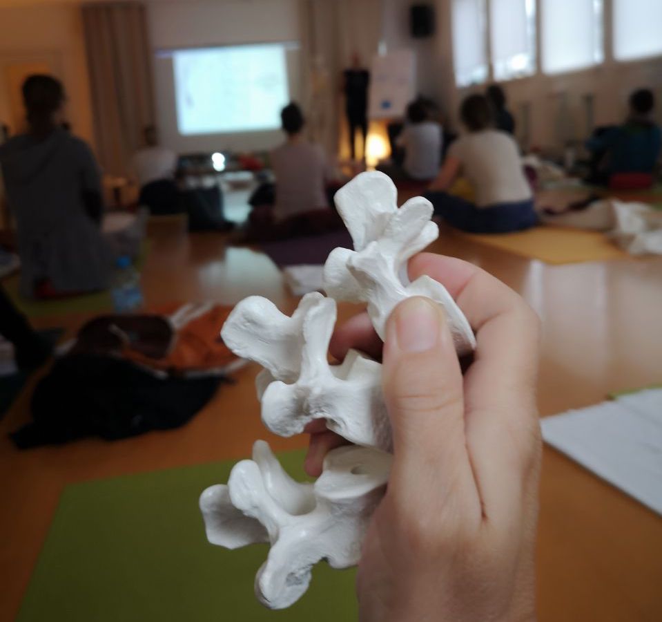 lumbar spine yoga therapy certification