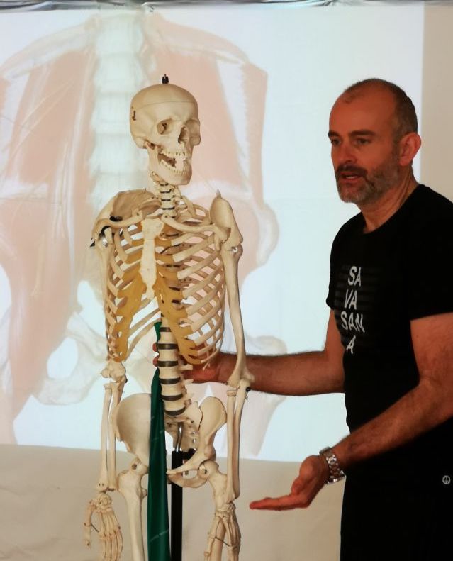 yoga therapy certification