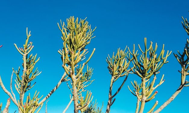 7 tips for Simplicity