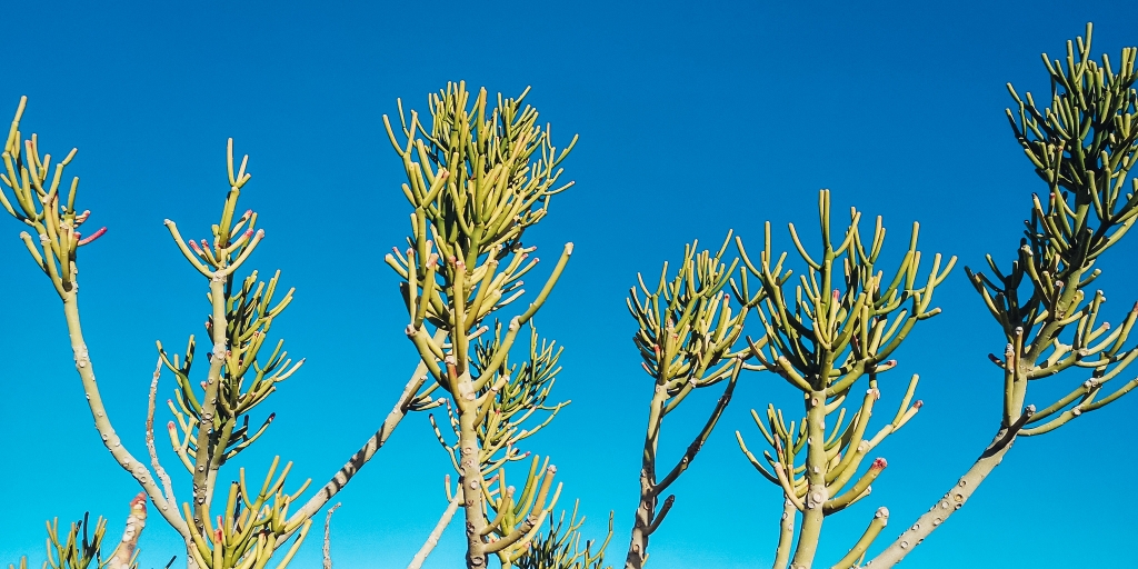 7 tips for Simplicity