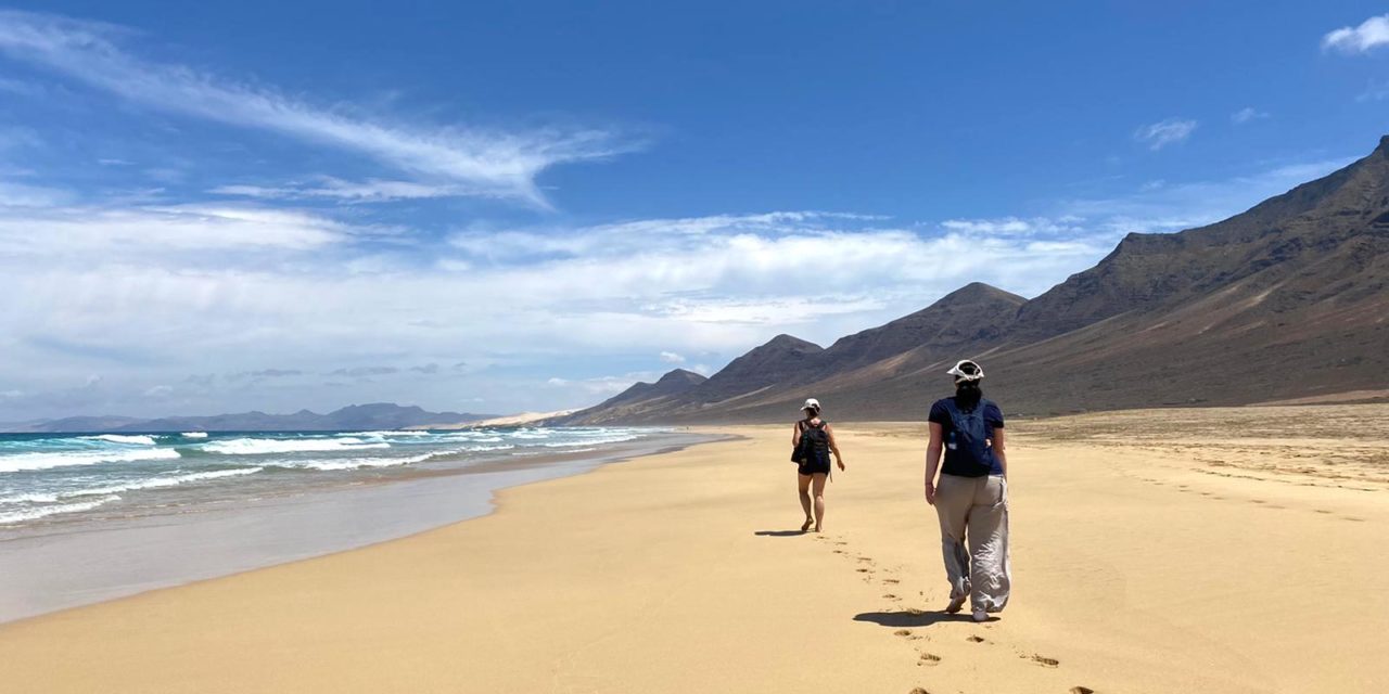 Review 2021: From forbidden Thoughts to Hormone Balance