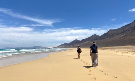 Review 2021: From forbidden Thoughts to Hormone Balance