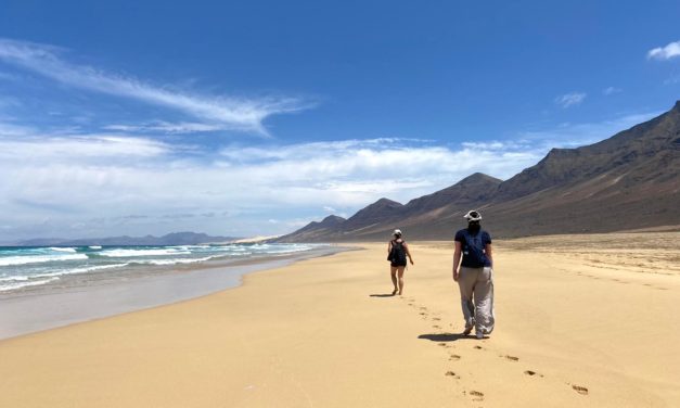 Review 2021: From forbidden Thoughts to Hormone Balance