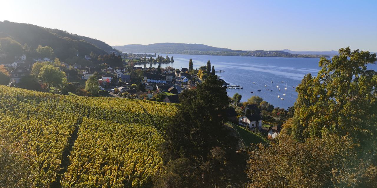 bodensee panorama