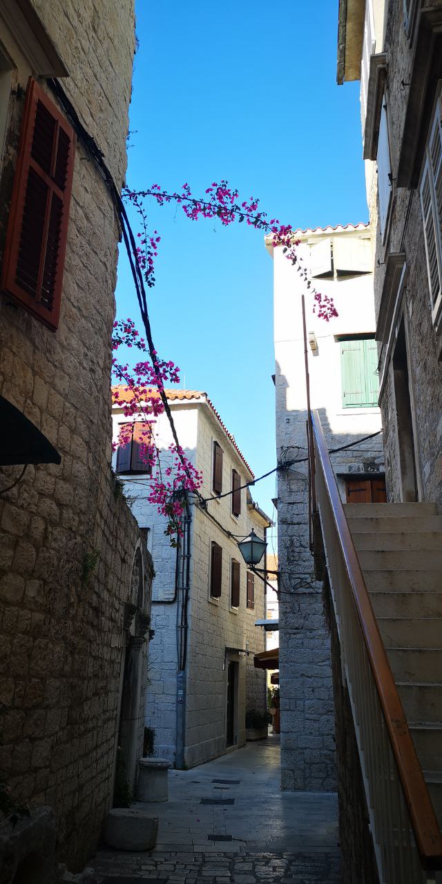 photo_2021-06-12 23.30.34