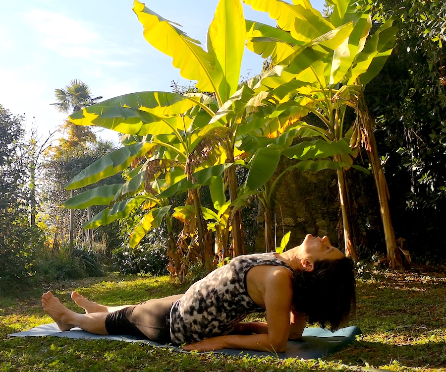 fish pose hormone yoga fish pose hormone yoga