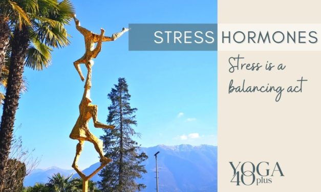 How stress hormones affect your body