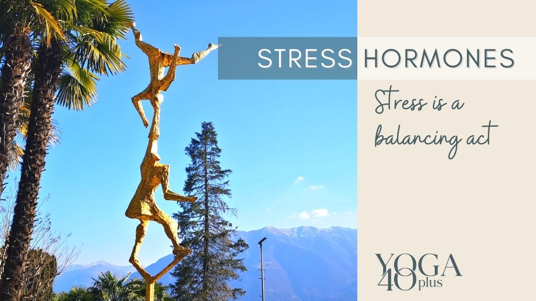 How stress hormones affect your body