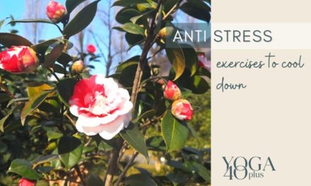 Anti-Stress Exercises