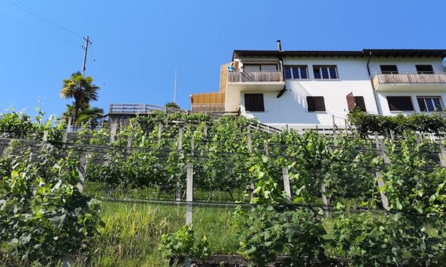 12 of 12 June 2022 Yoga Retreat in Ticino