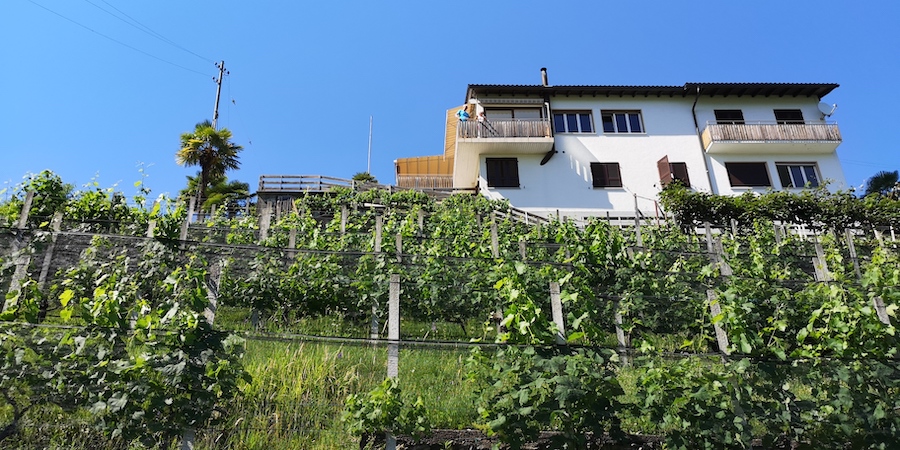 12 of 12 June 2022 Yoga Retreat in Ticino