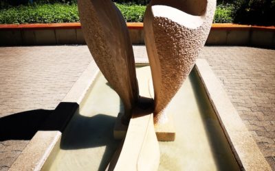 12 of 12 July 2022 after surgery