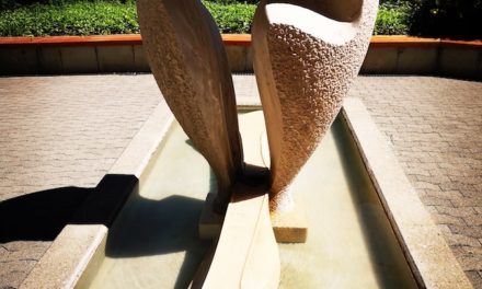 12 of 12 July 2022 after surgery