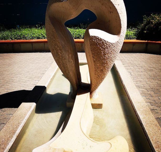 12 of 12 July 2022 after surgery