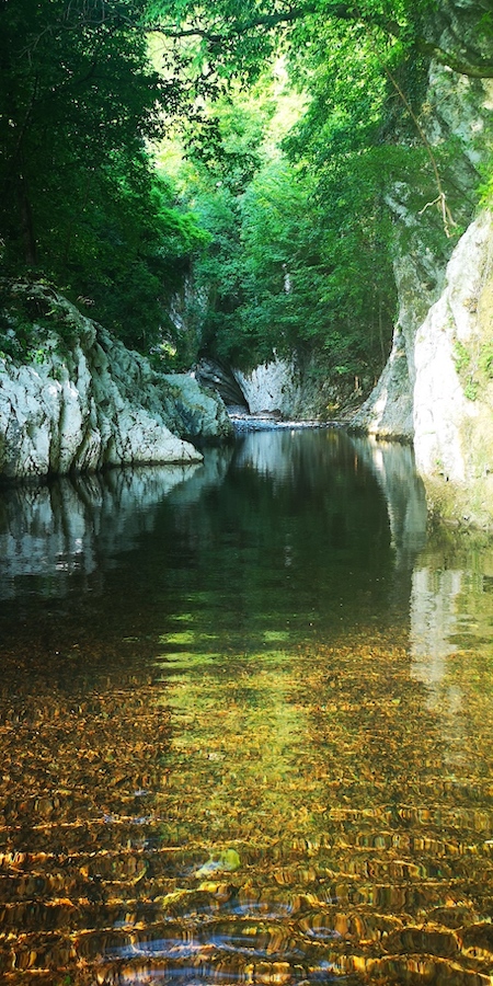 Water to illustrate Ovaries